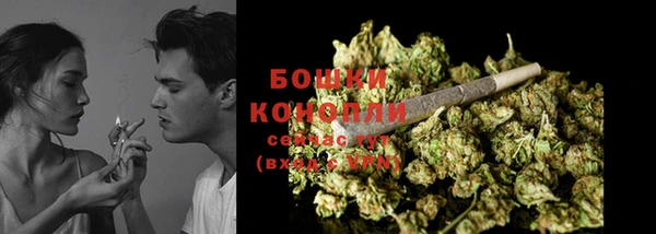 прущие грибы Зеленокумск