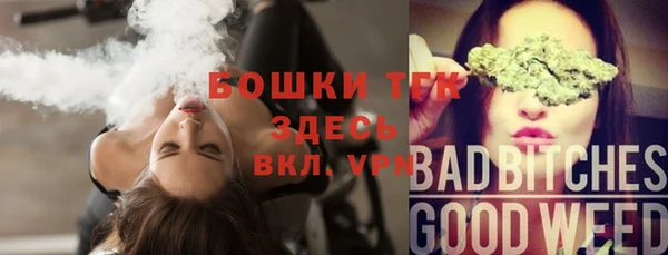 прущие грибы Зеленокумск