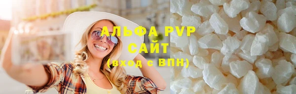 прущие грибы Зеленокумск