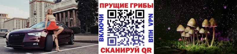 Купить закладки  Лянтор  Псилоцибиновые грибы мицелий 